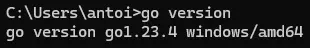 Go est bien installé sur cette machine