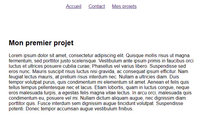 Le contenu d’un projet